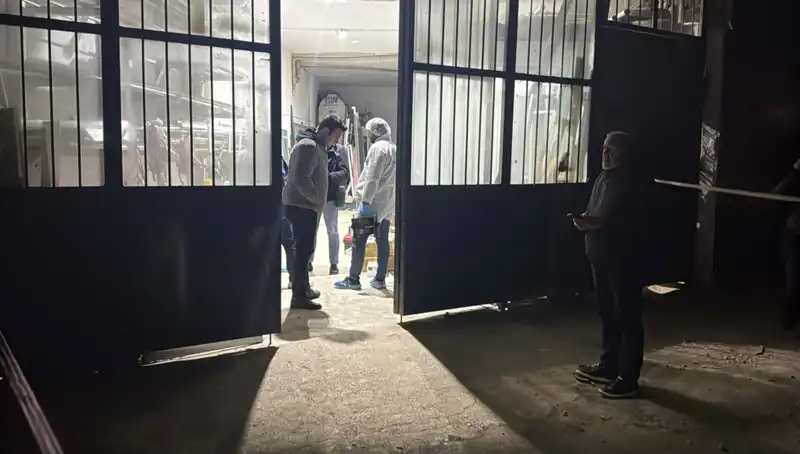 Çalışanların Hayatını Alt Üst Eden İş Yeri Cinayeti: Olayın Korkunç Detayları