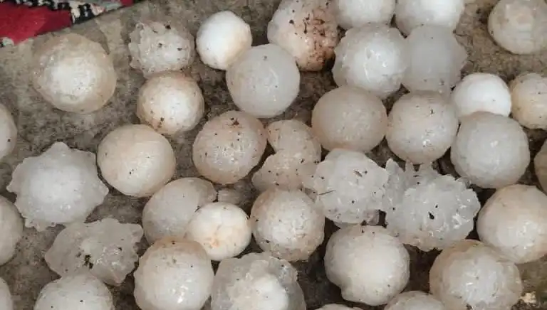 Şanlıurfa'da Kar Topu Büyüklüğünde Dolu Yağışı Hayatı Durdurdu