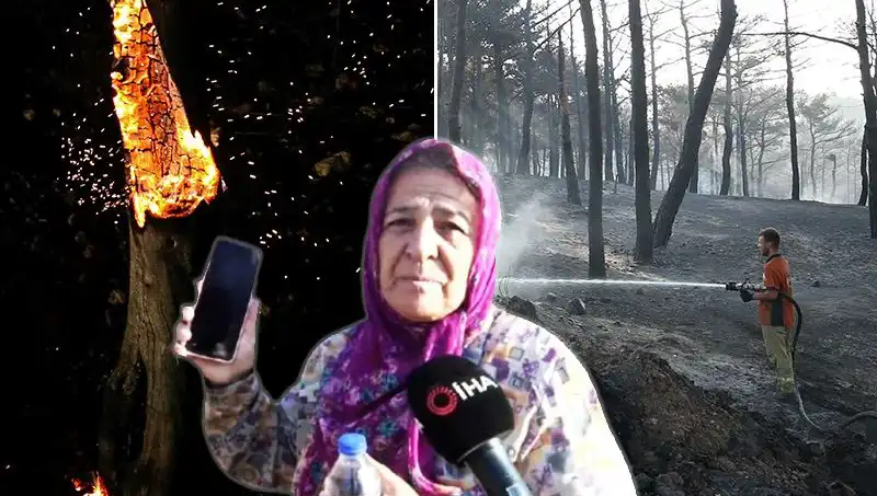 Çanakkale Orman Yangınları Kontrol Altına Alındı: Son Gelişmeler ve Kurtulanlar