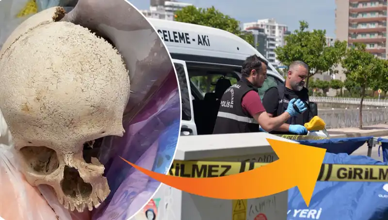Sitenin Çöpünden Çıkan Kafatasının Gizemi: Uzman Doktor Gözaltına Alındı!