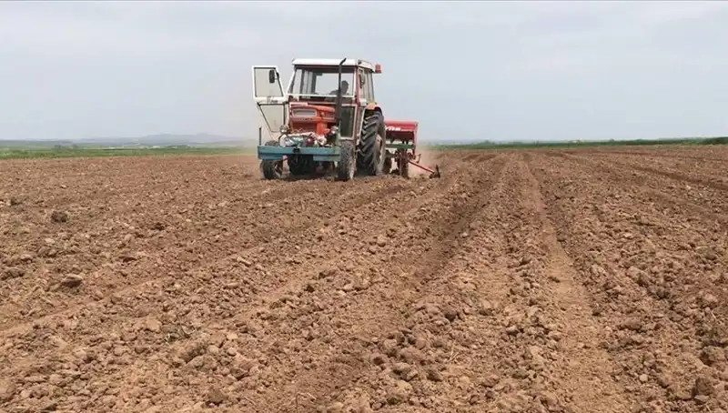 Son 35 Yılın En Kurak Mart Ayı: Nedenleri ve Sonuçları