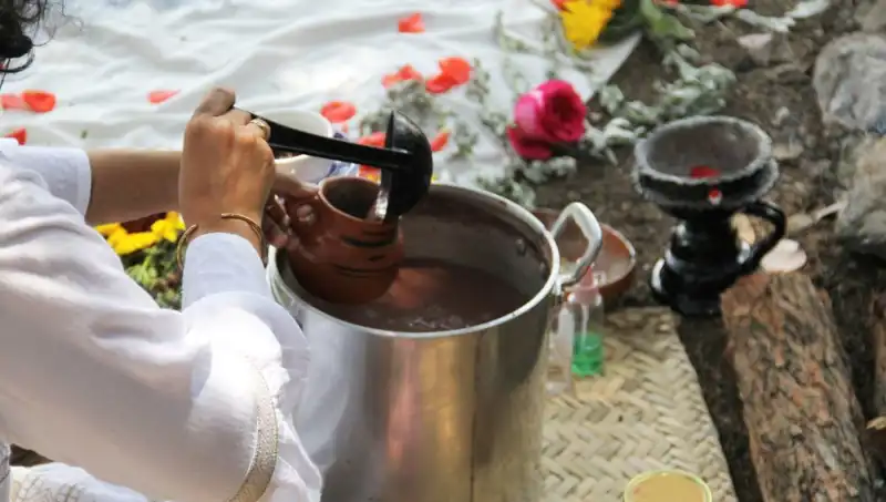 Ayahuasca: Ruhsal Yolculuğun Sırları ve Yasakları
