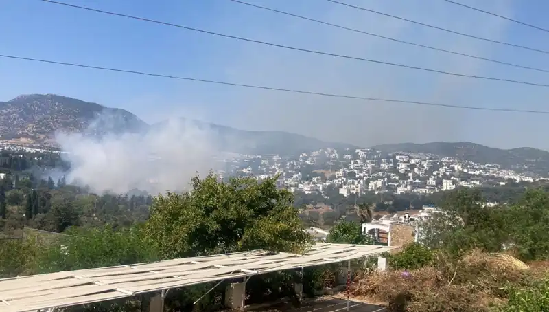 Muğla'daki Orman Yangınları Kontrol Altına Alındı: Yeniden Doğuş Başlıyor