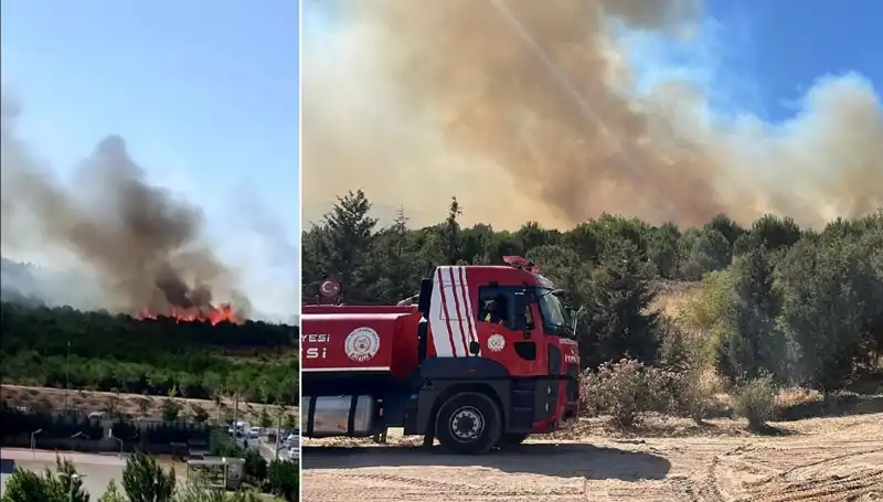 Gebze'de Korkutan Orman Yangını: Yangın Söndürme Ekipleri Seferber Oldu