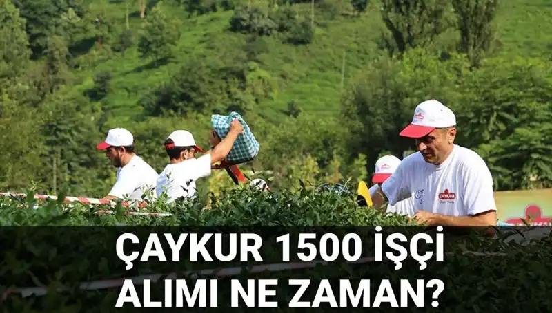Çaykur İşçi Alımı İçin Başvuru Tarihleri Açıklandı! Zaman Kısıtlı Olabilir