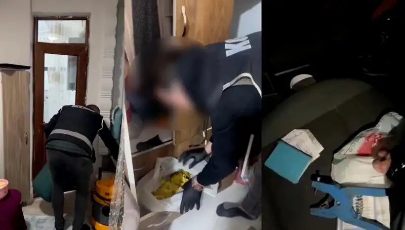 Hayvan Sevk Belgesi Usulsüzlüklerine Büyükk Operation: Dokuz Kişi Gözaltında