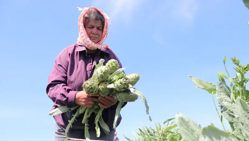 Tarladan Sofralara: 50 TL’ye Satılan Ürünler Hakkında Bilmeniz Gerekenler