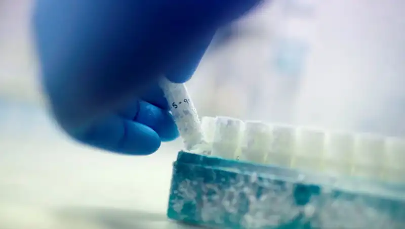 Sperm Donörü Skandalı: Binlerce Çocuğun Baba Olduğu Tıbbi Felaket