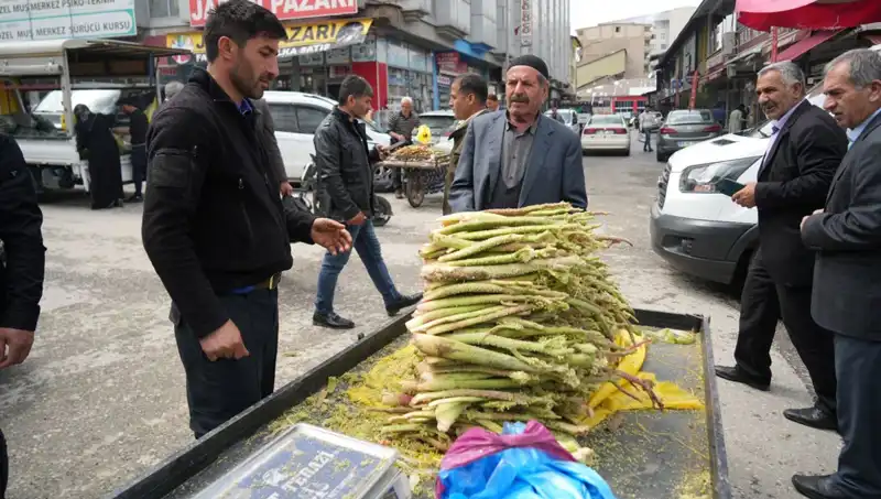 Dağların Gizemi: Şekerin Sağlık Faydaları ve İlgili Araştırmalar