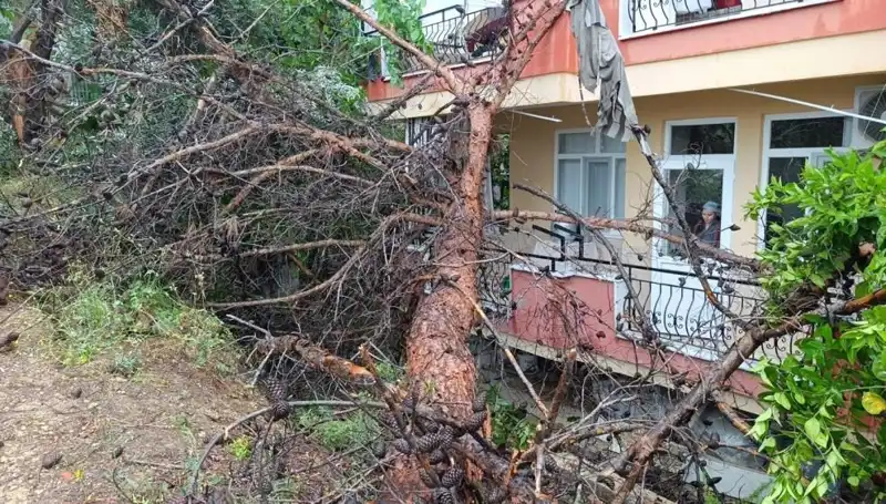 Yağmur, İhmal Edilen Binaları Ağaç Misali Devirdi