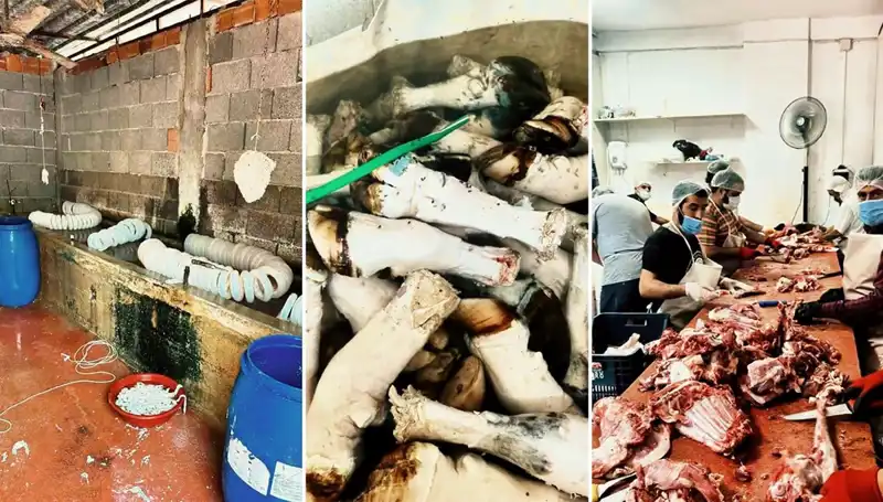Adana'da Yüzlerce Kilo Paça Ele Geçirildi: Şok Edici Görüntüler!