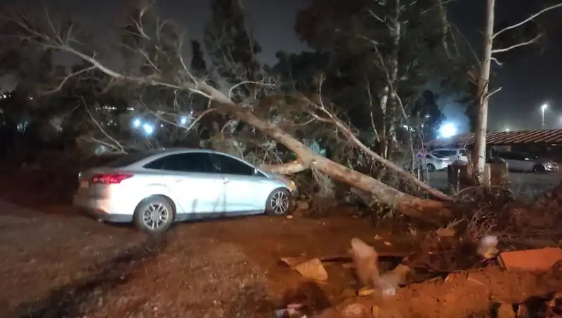 Hatay’da Fırtına: Tekneler Alabora Oldu, Ağaçlar Devrildi!