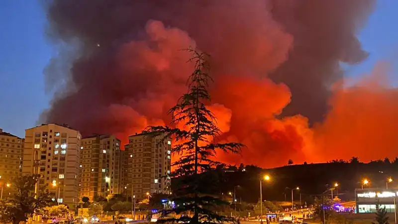 Bursa'da Yangınlar Art Arda Geliyor: Neden ve Sonuçları Nedir?