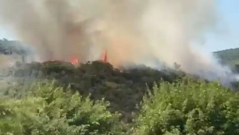 İstanbul’daki Orman Yangını Sebebiyle Vatandaşlar Acil Tahliye Edildi