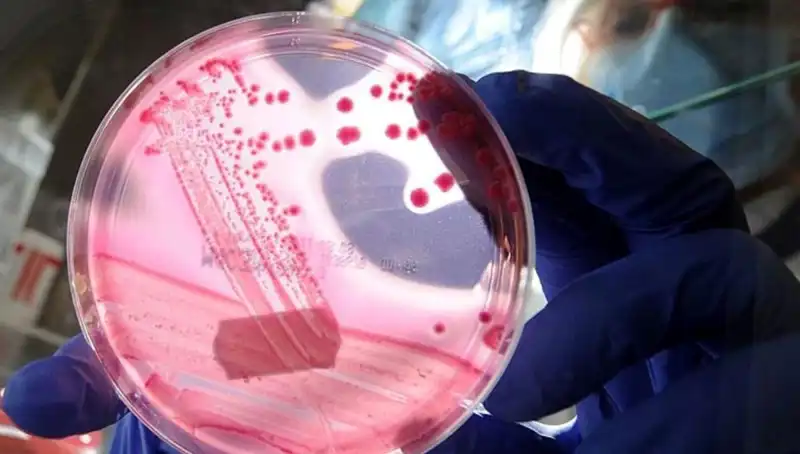 Yaşlanmayı Yavaşlatan Gelişme: AP2A1 Proteini ve Etkileri