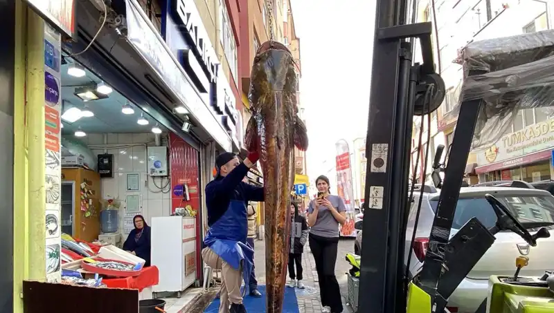 Meriç Nehri'nde Yakaladığı 3 Metrelik Balık Şok Etkisi Yarattı