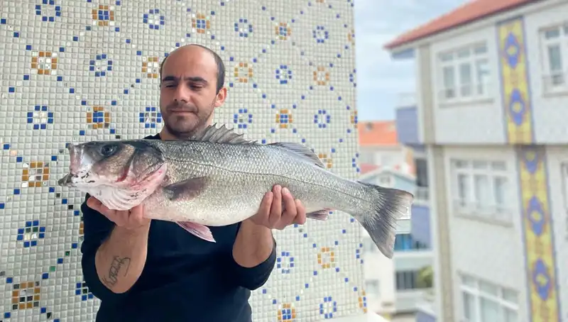 7,5 Kiloluk Levrek: Balıkçıların Yeni Efsanesi