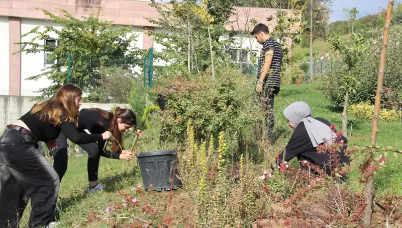 Kökleri Düzce'de, İnovasyon Dünyasını Fetheden Başarı Hikayesi