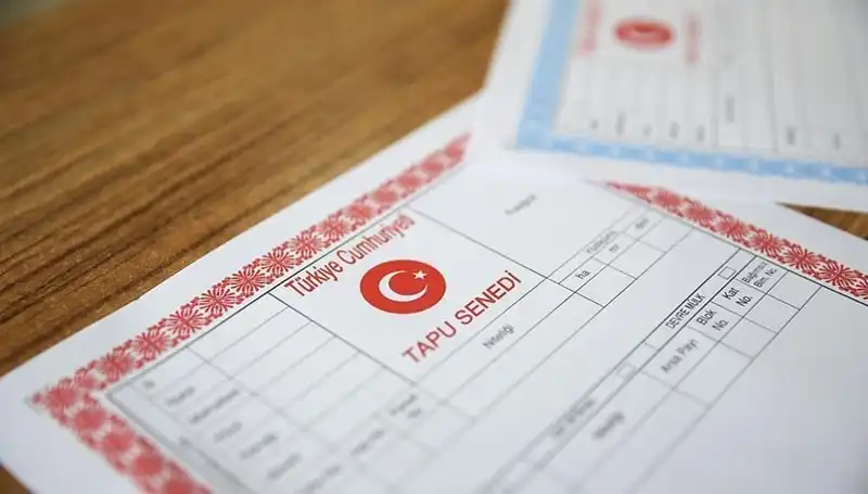 Hisseli Tapu Yalanı ile 100 Milyonluk Dolandırıcılık Ağı Deşifre Oldu