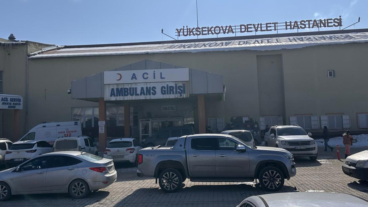 Boşboş köpek saldırısında ölen çocuk için müfettiş görevlendirildi