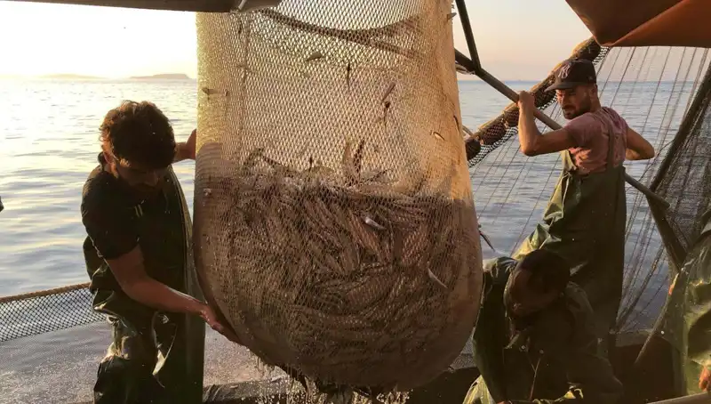Balıkçılar Grevde: İhlal Edenlere Binyüzlerce Lira Ceza Başlıyor