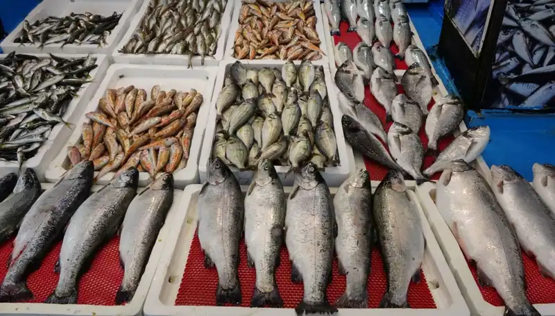 Tezgahlar Koruma Altında: Yasaklar Yeni Fırsatlar Doğuruyor