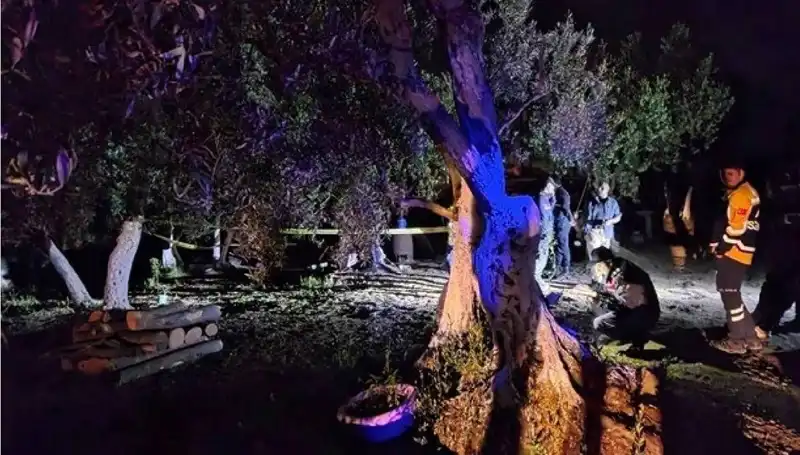 Çiftlikteki Baltalı Vahşet: Tutuklama İle Gece Yarısı Gelen Şok Gelişme