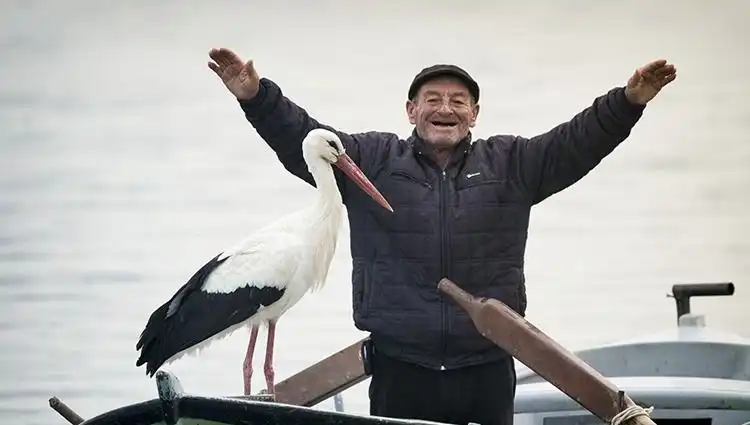 Yaren Leylek'in Gelişi: Tüydeş'in Eşsiz Doğa Fotoğrafları ve Canlı Yayın!