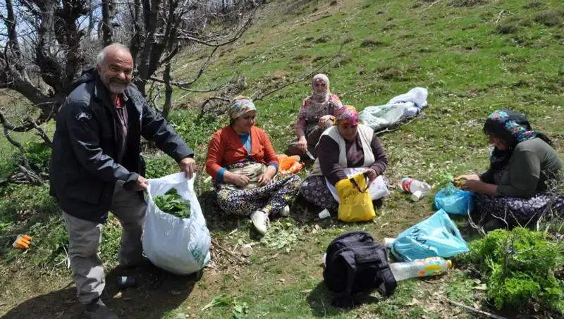Yürüyerek Sürdürülebilir Geçim: Kilosu 250 Lira Olan Mantarlar İçin 5 Saat Yol Yürüyorlar