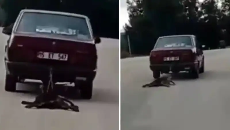 Sürücülerin Dikkatini Çeken Olay: Otomobilin Arkasında Sürüklenen Köpek